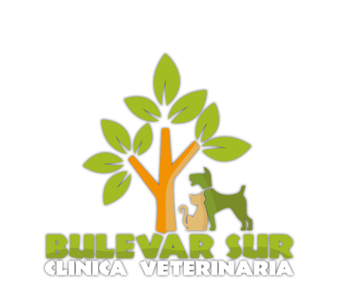 Clínica Veterinaria Bulevar Sur Valencia